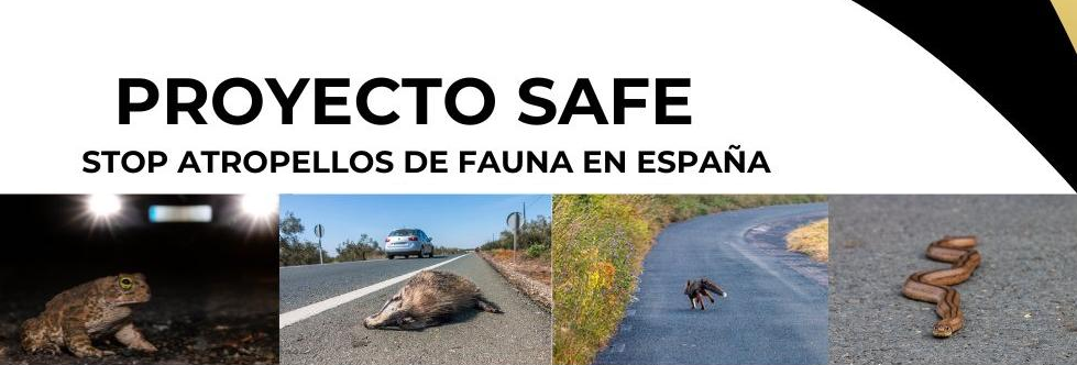 Banner Safe stop atropellos