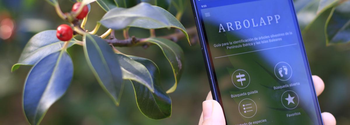móvil fotografiando árbol