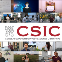 Yo investigo. Yo soy CSIC. Concurso de vídeos de divulgación científica