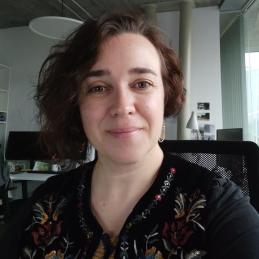 Yolanda Seoane Instituto de Ciencias del Patrimonio (INCIPIT)